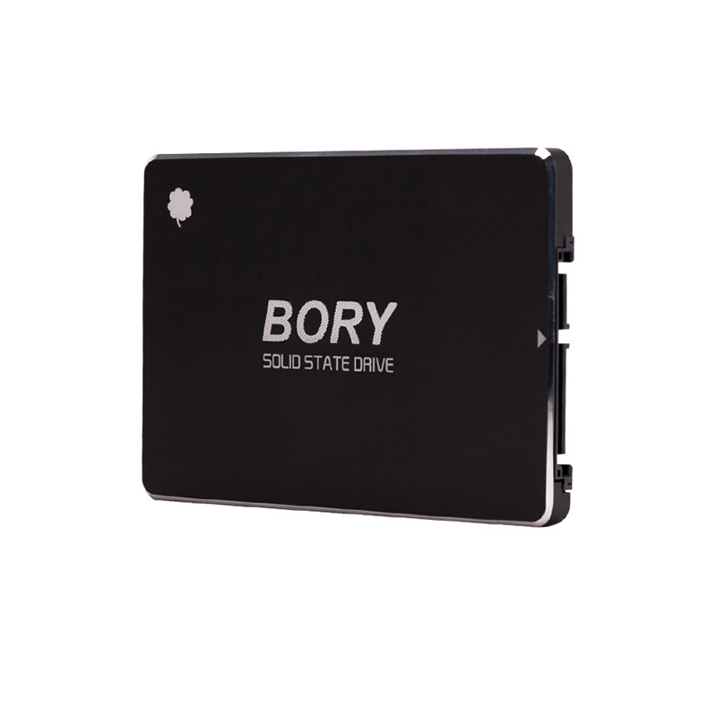 BORY R500-C128G SATA3 128 GB SSD 550/510 MBS HARDDİSK (3 YIL RESMI DİST GARANTİLİ)
