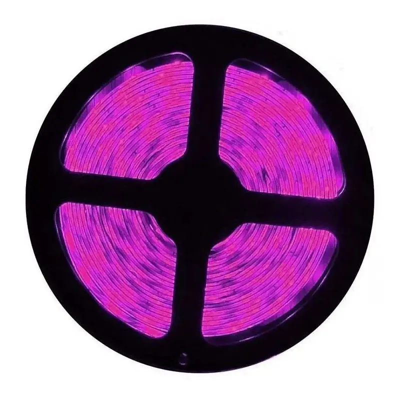 Cata CT-4470 10 Çip İç Mekan Şerit Led Pembe Işık