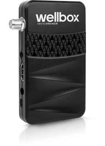 Wellbox 3100 Mini Hd Uydu Alıcısı